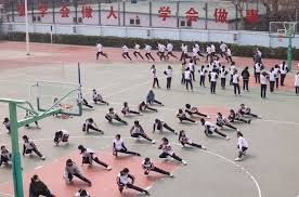 2025 赛季回顾：洛杉矶道奇队在世界大赛期间的平均收视率打破了近 15 年纪录