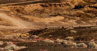 连锁反应！火箭4人2K能力值遭下调，三巨头数值不变，海王被低估